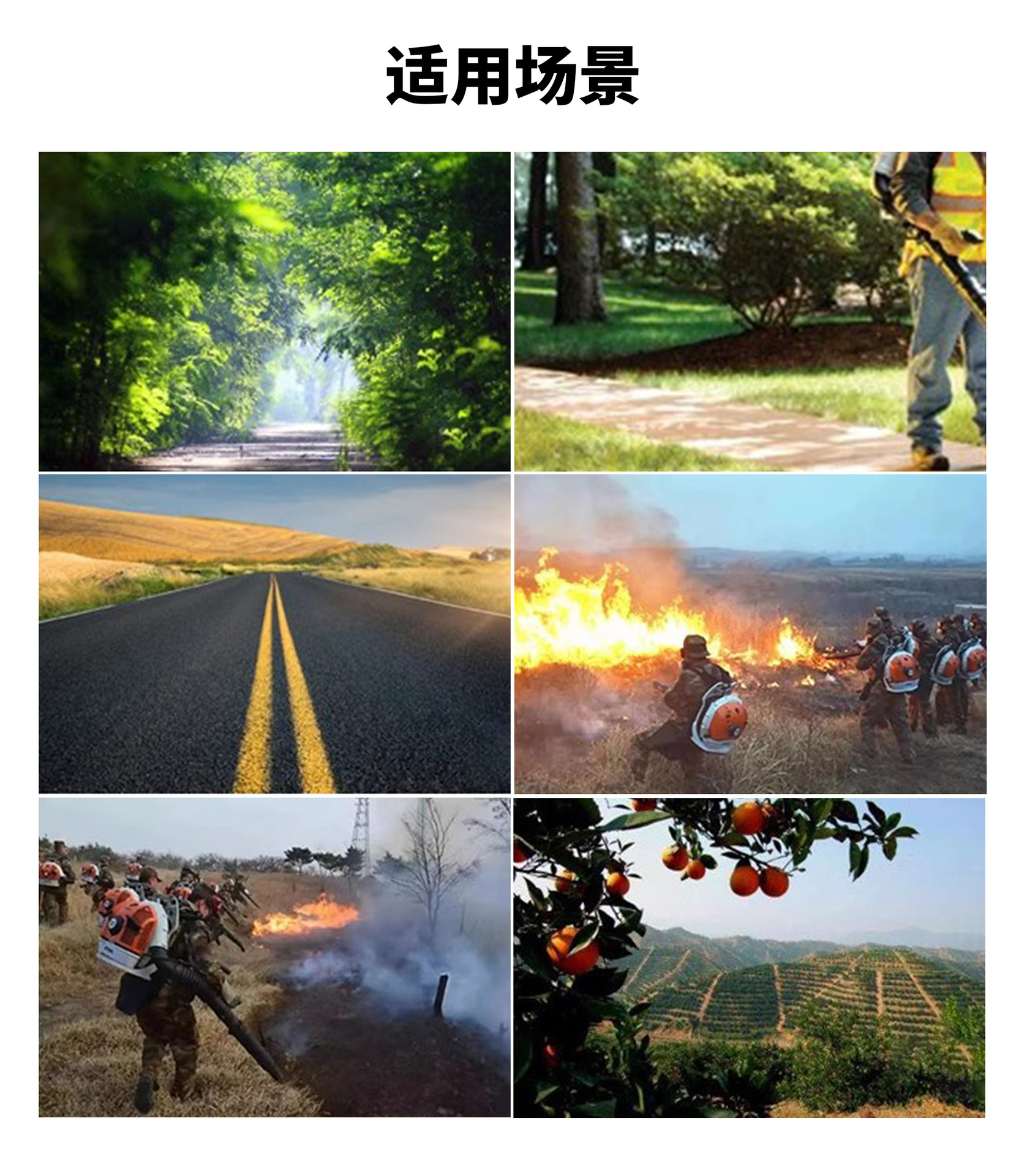 斯蒂爾吹風(fēng)機(jī)(一機(jī)多用)(圖2) 斯蒂爾吹風(fēng)機(jī)(一機(jī)多用)(圖2)