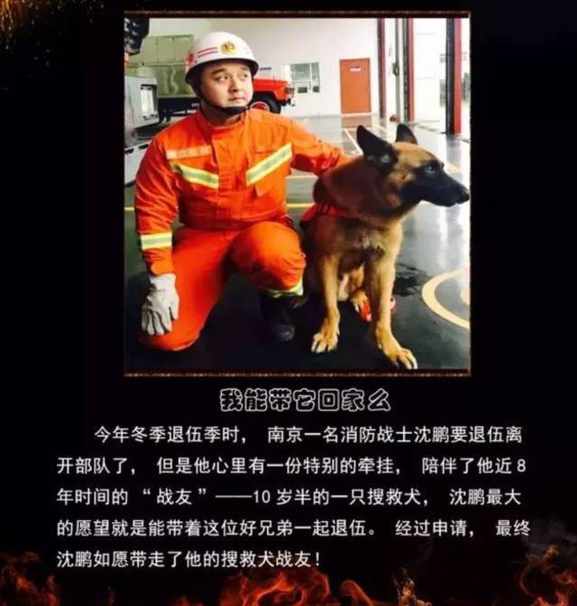 浴火重生的逆行者，肌肉越大責(zé)任越大，這才是真漢子——中國消防員(圖23)