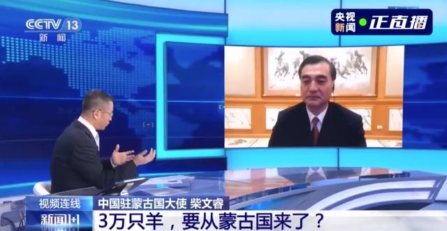 蒙古國送的3萬只羊會(huì)變成羊肉 吃貨網(wǎng)友：準(zhǔn)備好了