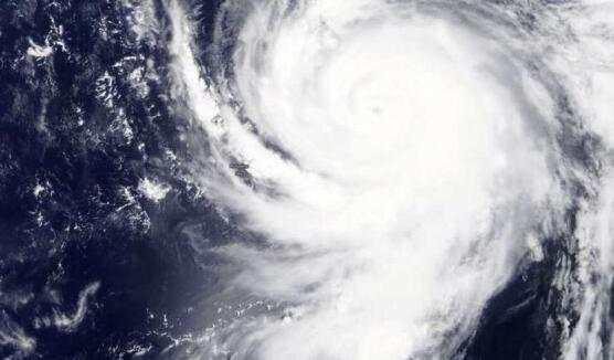 臺(tái)風(fēng)“美莎克”致吉林玉米大面積倒伏，像棉被一樣鋪在地上，減產(chǎn)已成定局(圖7)