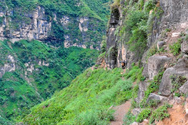 四川批準(zhǔn)涼山7縣摘帽脫貧！全省88個(gè)貧困縣全部清零