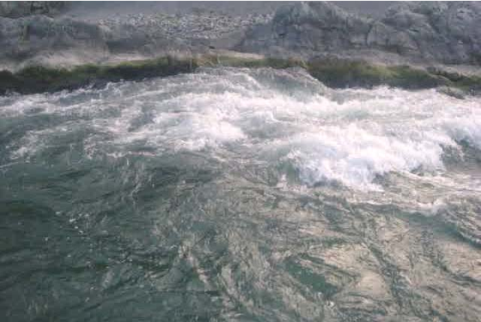 水域救援:水域救援的基礎(chǔ)知識(圖12) 水域救援:水域救援的基礎(chǔ)知識(圖12)