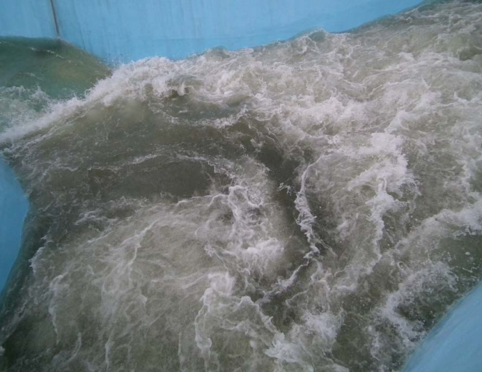 水域救援:水域救援的基礎(chǔ)知識(圖24) 水域救援:水域救援的基礎(chǔ)知識(圖24)